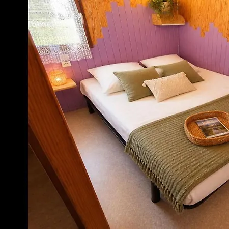 Camping Avec Terrasse Et Salon De Jardin A - Api-1-52-419